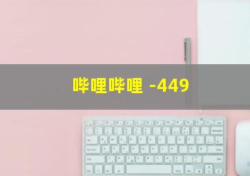 哔哩哔哩 -449